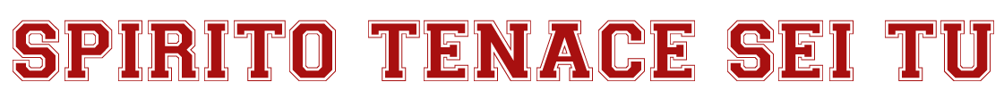 spiritotenaceseitu