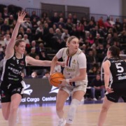 photo_2026-03-23_21-17-28