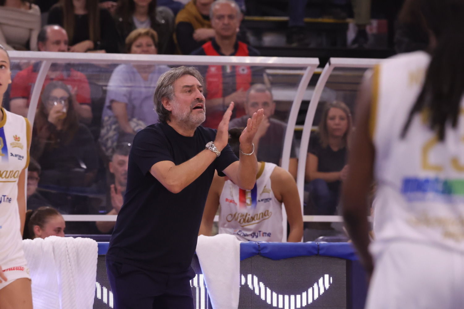 LA MOLISANA MAGNOLIA, VIA ALL’AVVENTURA DI EUROCUP: È SFIDA AL CELJE